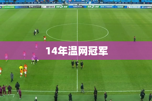 14年温网冠军 14年温网冠军