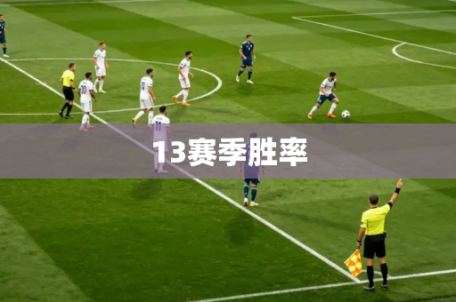 13赛季胜率 13赛季胜率