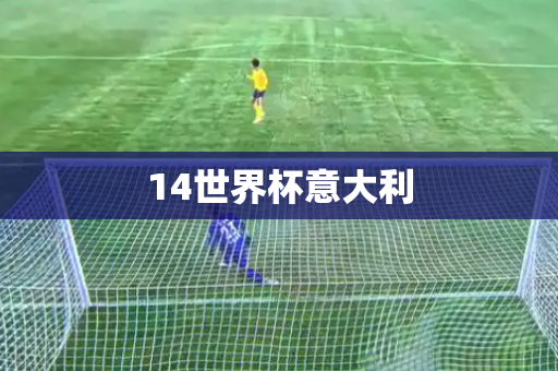 14世界杯意大利