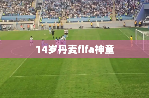 14岁丹麦fifa神童