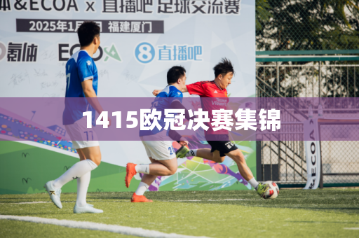 1415欧冠决赛集锦