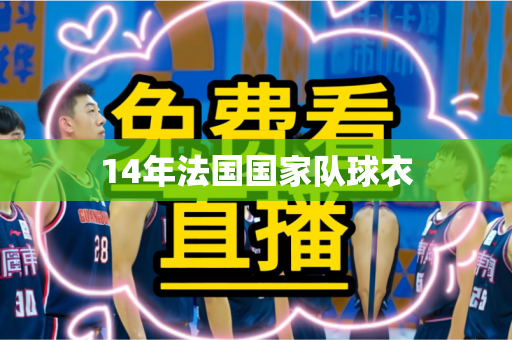 14年法国国家队球衣