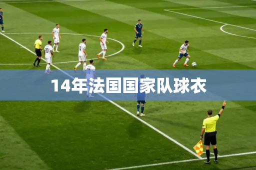 14年法国国家队球衣