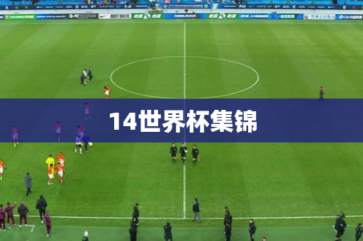 14世界杯集锦