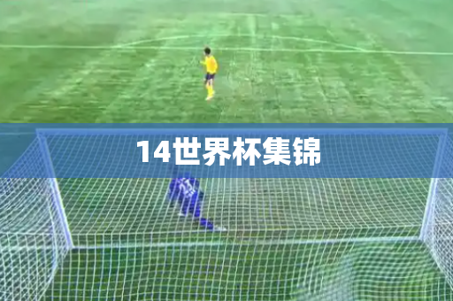 14世界杯集锦