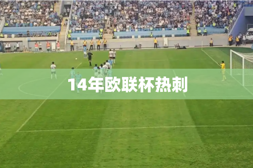 14年欧联杯热刺 14年欧联杯热刺