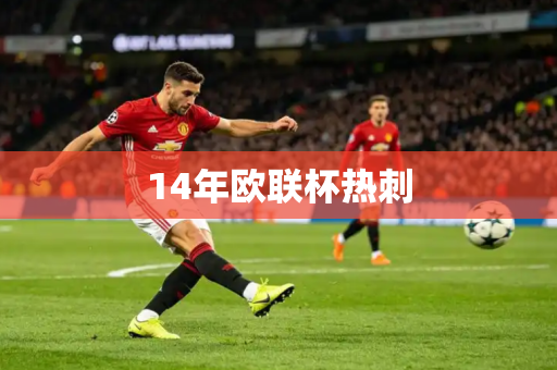 14年欧联杯热刺