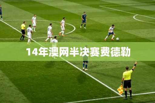 14年澳网半决赛费德勒