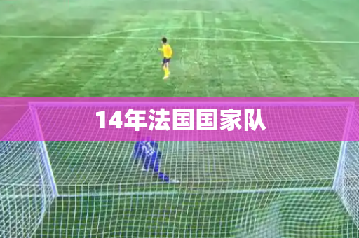 14年法国国家队 14年法国国家队