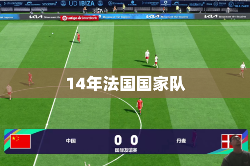 14年法国国家队