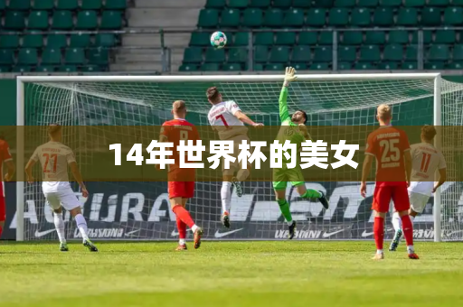 14年世界杯的美女