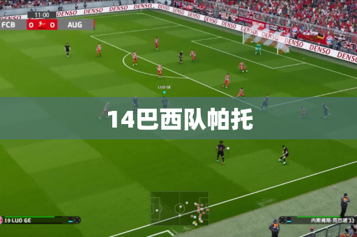 14巴西队帕托