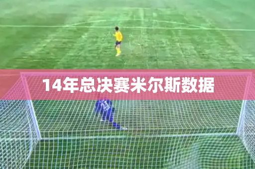 14年总决赛米尔斯数据