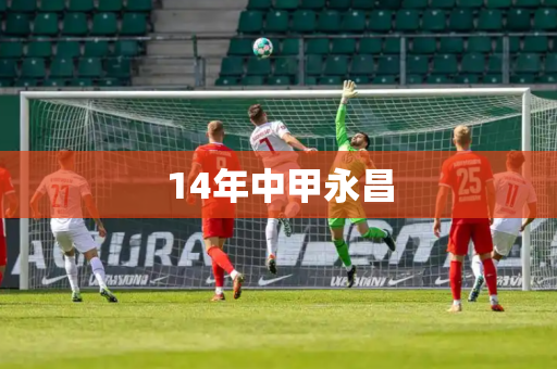 14年中甲永昌 14年中甲永昌