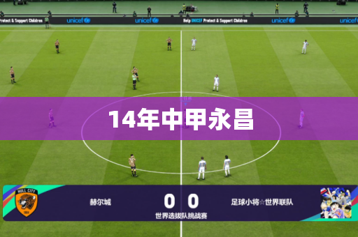 14年中甲永昌