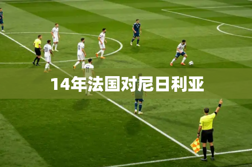 14年法国对尼日利亚