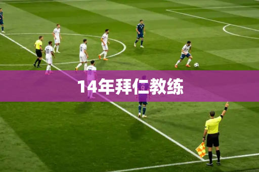14年拜仁教练