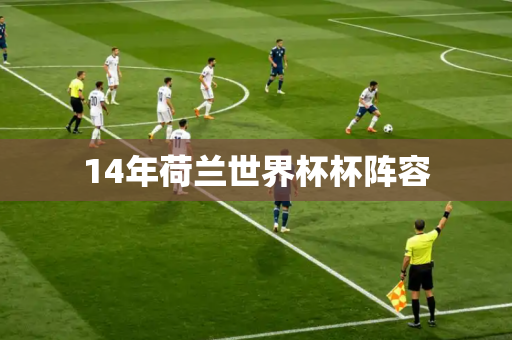 14年荷兰世界杯杯阵容 14年荷兰世界杯杯阵容