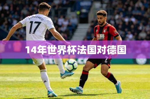 14年世界杯法国对德国 14年世界杯法国对德国