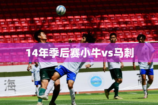 14年季后赛小牛vs马刺 14年季后赛小牛vs马刺