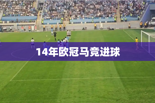 14年欧冠马竞进球