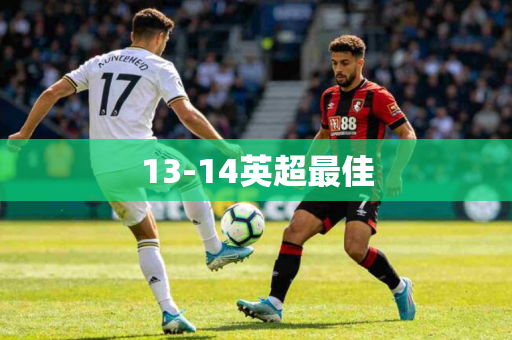 13-14英超最佳