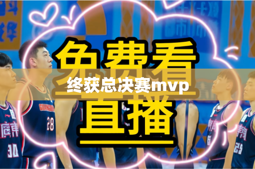终获总决赛mvp 终获总决赛mvp