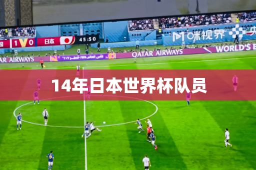 14年日本世界杯队员
