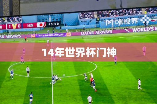 14年世界杯门神