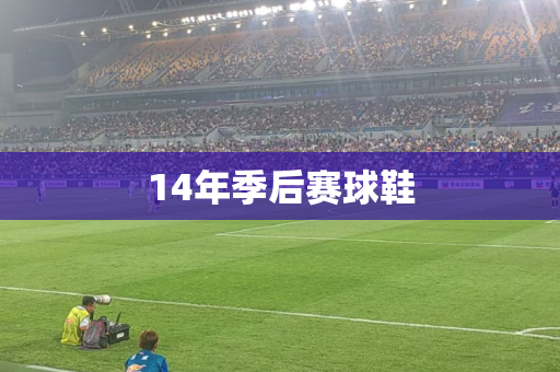 14年季后赛球鞋 14年季后赛球鞋