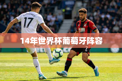 14年世界杯葡萄牙阵容