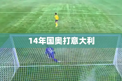 14年国奥打意大利 14年国奥打意大利