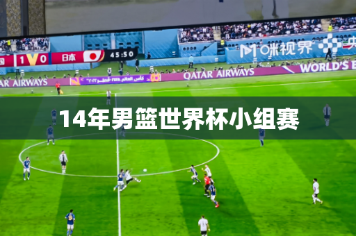 14年男篮世界杯小组赛 14年男篮世界杯小组赛