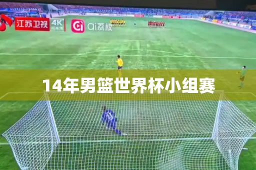 14年男篮世界杯小组赛 14年男篮世界杯小组赛
