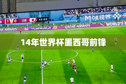 14年世界杯墨西哥前锋