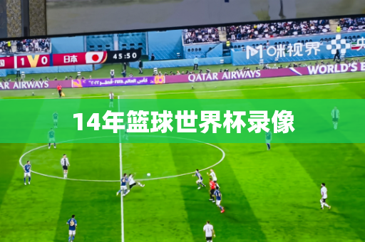 14年篮球世界杯录像