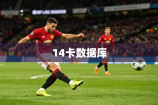 14卡数据库