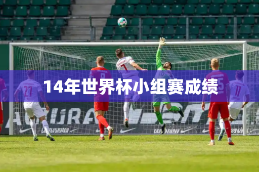 14年世界杯小组赛成绩