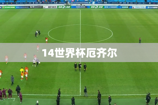 14世界杯厄齐尔