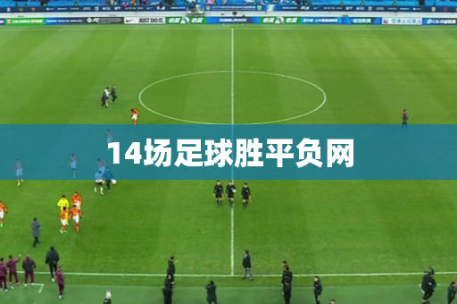 14场足球胜平负网 14场足球胜平负网