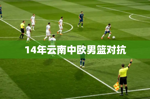 14年云南中欧男篮对抗