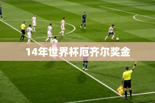 14年世界杯厄齐尔奖金