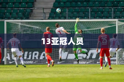 13亚冠人员