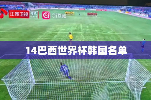 14巴西世界杯韩国名单