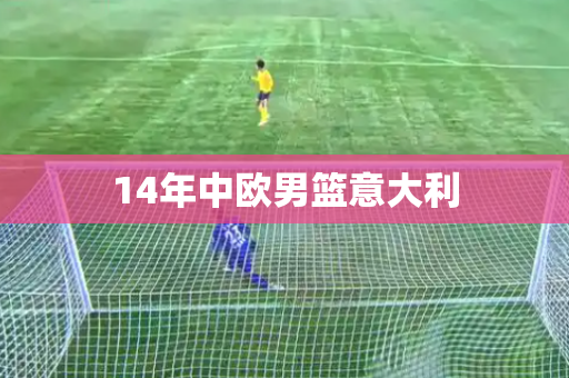 14年中欧男篮意大利 14年中欧男篮意大利