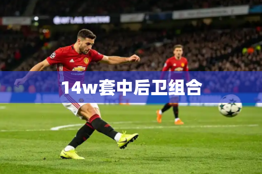 14w套中后卫组合 14w套中后卫组合