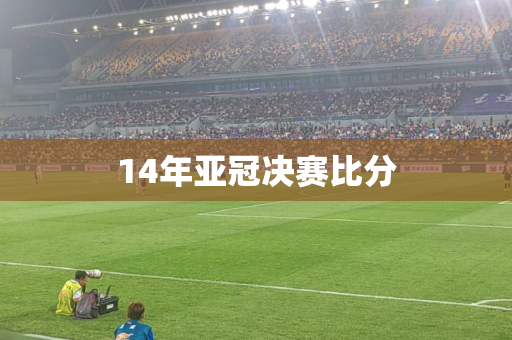 14年亚冠决赛比分 14年亚冠决赛比分