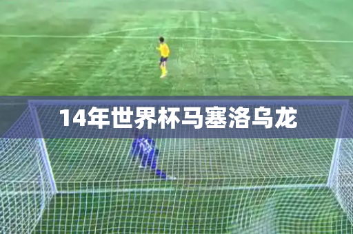 14年世界杯马塞洛乌龙