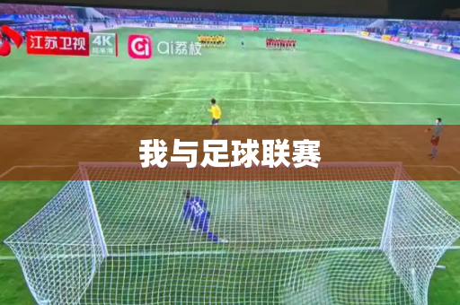 我与足球联赛 我与足球联赛