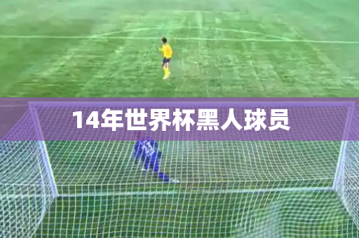 14年世界杯黑人球员 14年世界杯黑人球员